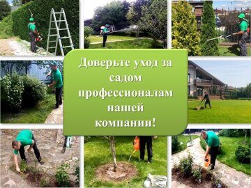уход за садом от профессиональных садовником в москве