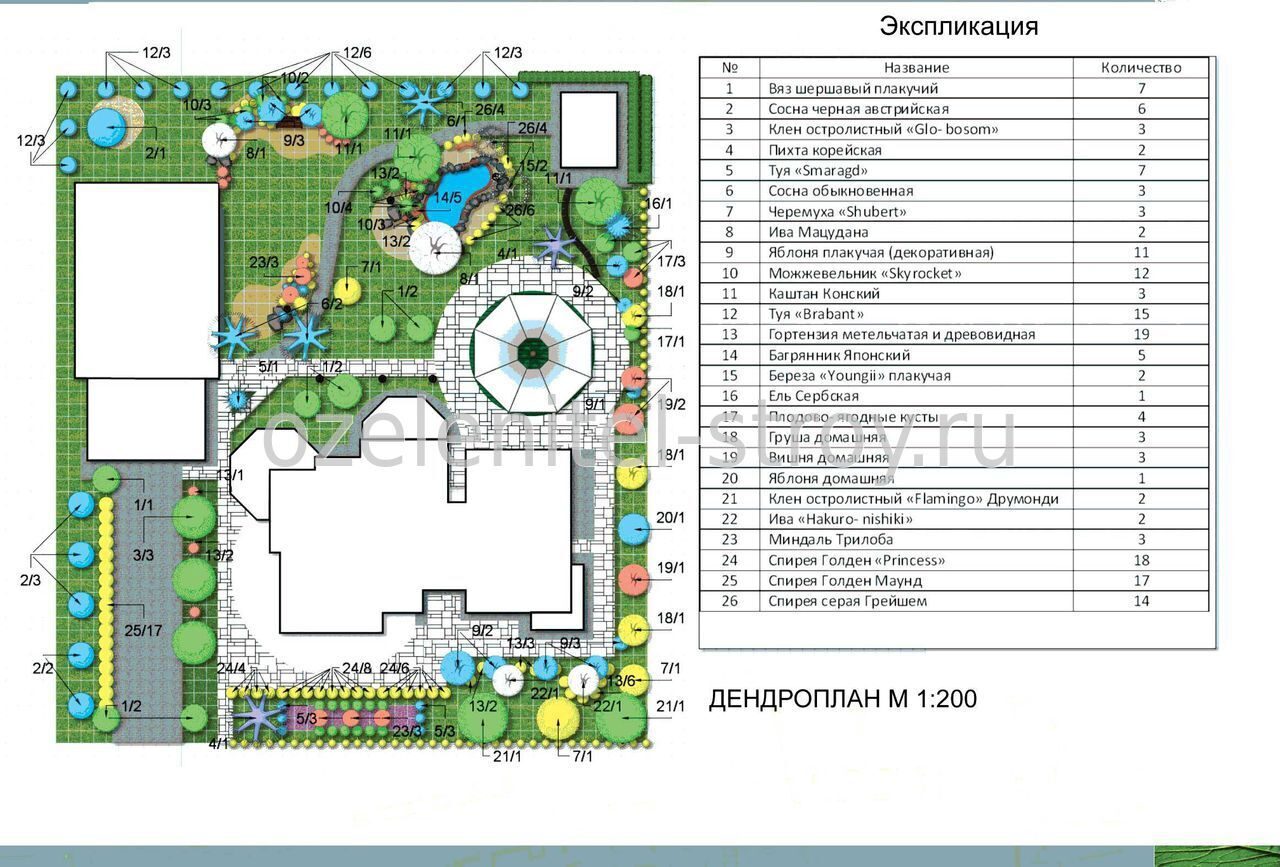 Ландшафтный проект дендрологический план